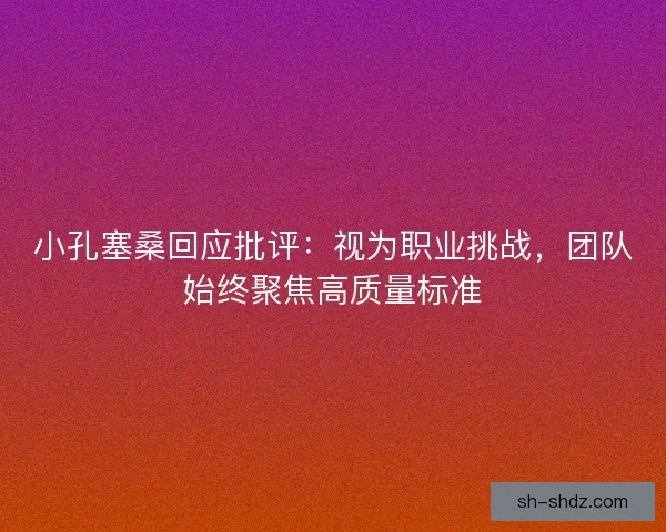 小孔塞桑回应批评：视为职业挑战，团队始终聚焦高质量标准