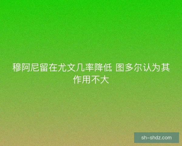 穆阿尼留在尤文几率降低 图多尔认为其作用不大 穆阿尼留在尤文几率降低 图多尔认为其作用不大