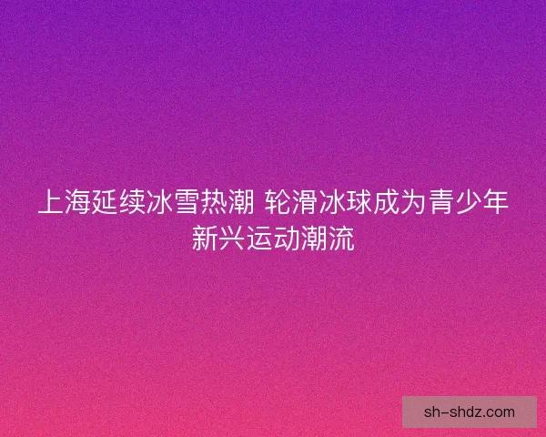 上海延续冰雪热潮 轮滑冰球成为青少年新兴运动潮流 上海延续冰雪热潮 轮滑冰球成为青少年新兴运动潮流