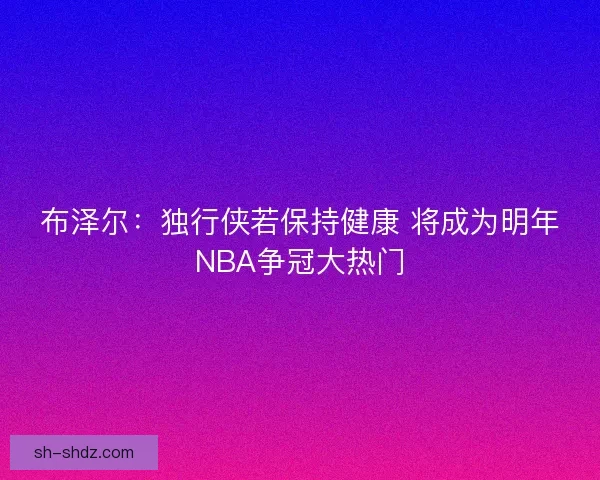 布泽尔：独行侠若保持健康 将成为明年NBA争冠大热门