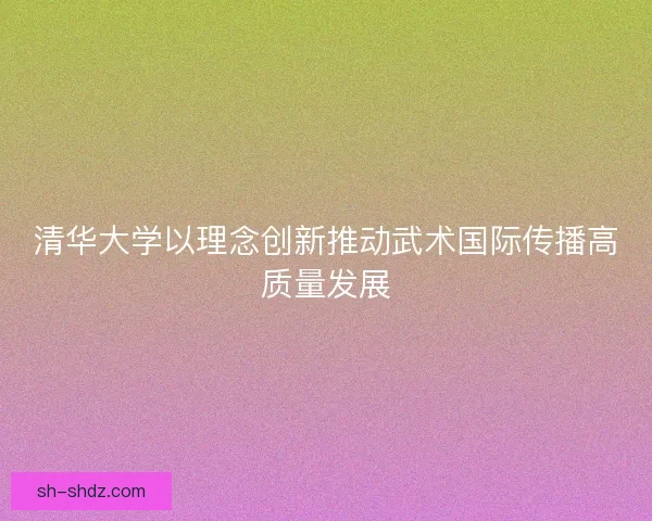 清华大学以理念创新推动武术国际传播高质量发展
