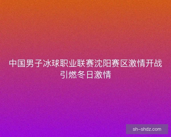 中国男子冰球职业联赛沈阳赛区激情开战引燃冬日激情
