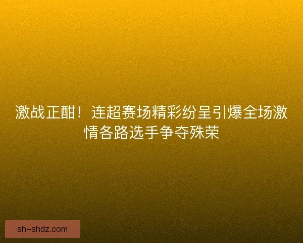 激战正酣!连超赛场精彩纷呈引爆全场激情各路选手争夺殊荣 激战正酣!连超赛场精彩纷呈引爆全场激情各路选手争夺殊荣