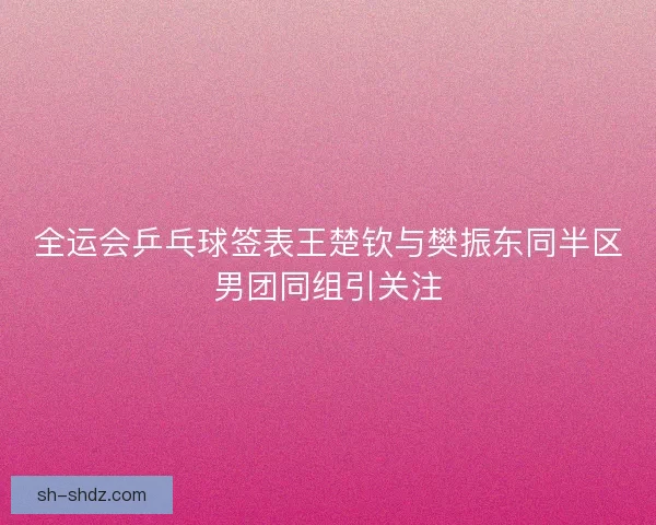 全运会乒乓球签表王楚钦与樊振东同半区男团同组引关注 全运会乒乓球签表王楚钦与樊振东同半区男团同组引关注