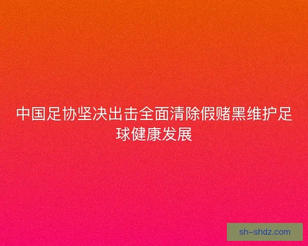 中国足协坚决出击全面清除假赌黑维护足球健康发展